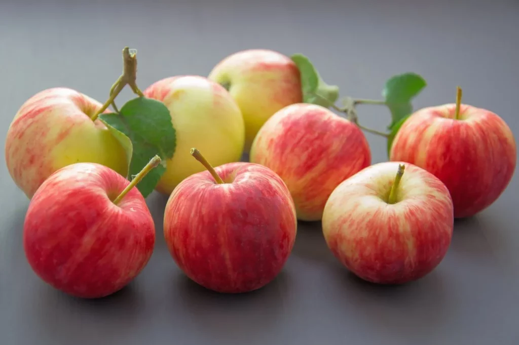 Versatilidad de la manzana en la dieta