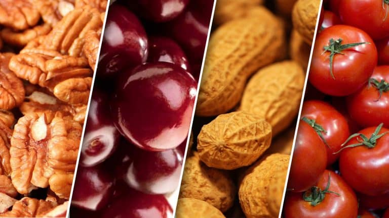Equilibra tu azúcar en sangre: Guía de alimentos de bajo índice glucémico 2 Vida.es UNA DIETA BALANCEADA PARA NIVELES DE AZÚCAR ESTABLES