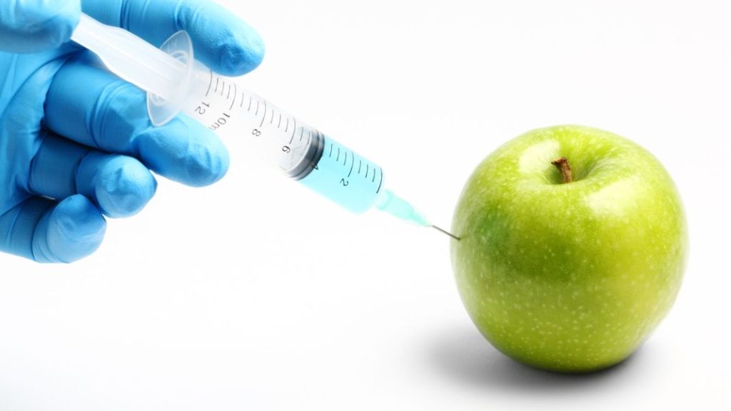 Alimentos transgénicos: ¿Innovación o amenaza nutricional? 1 Vida.es TRANSFORMACIÓN GENÉTICA: DESMITIFICANDO LOS TRANSGÉNICOS