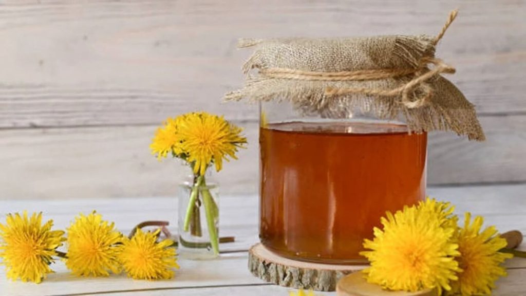 Diente de león para estimular la producción de bilis y mejorar la digestión