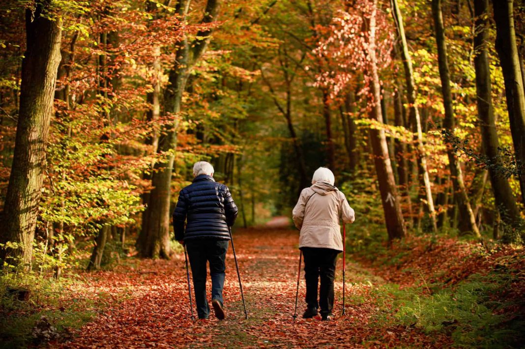¡Ilumina tu mente y tu vida! Explora actividades y hobbies creativos ideales para la tercera edad 2 Vida.es EN CONTACTO CON LA NATURALEZA