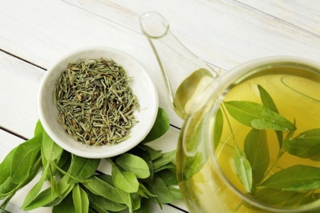 Hipertensos, atención: ¿Qué ocurre si tomas té verde? 3 Vida.es HIPERTENSOS, ATENCIÓN: ¿QUÉ OCURRE SI TOMÁIS TÉ VERDE?