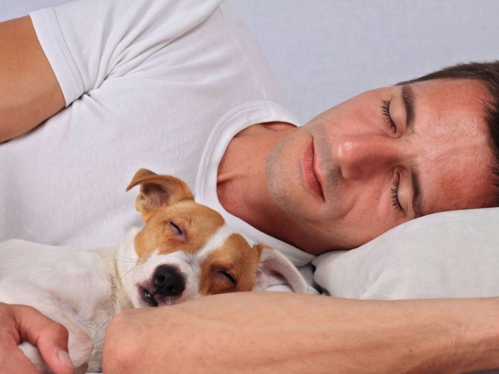 Dormir con tus mascotas: pros y contras 1 Vida.es Compañía y confort