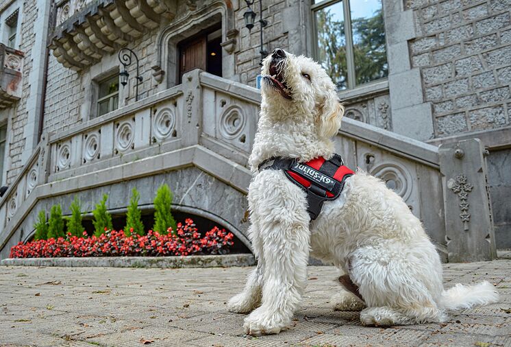 TOXICIDAD DE MEDICAMENTOS: UN ASUNTO GRAVE