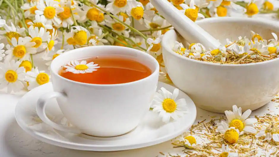 Infusiones para cuidar el intestino y evitar el estreñimiento 1 Vida.es Infusión de manzanilla