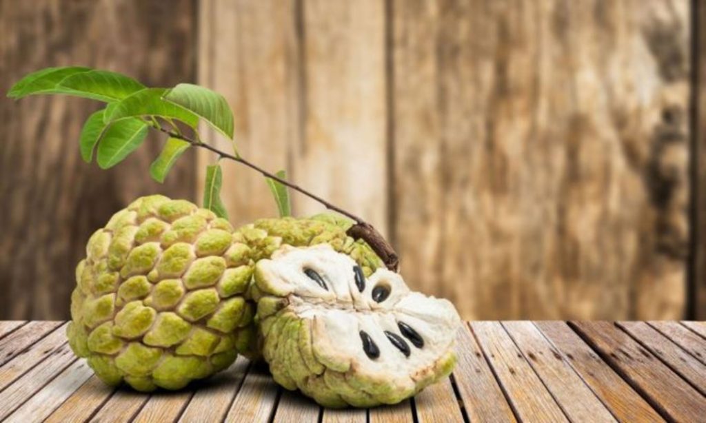 La fruta con más fibra que el kiwi que recomiendan los nutricionistas 1 Vida.es Propiedades nutricionales de la chirimoya