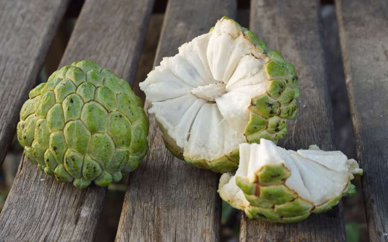 La fruta con más fibra que el kiwi que recomiendan los nutricionistas 2 Vida.es Valor nutricional de la chirimoya en detalle