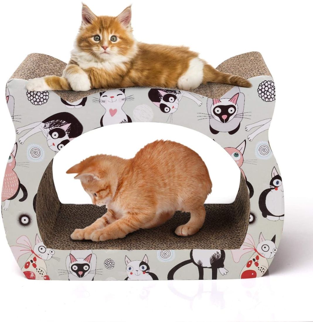 Gatos: 6 formas de transformar el exceso en juego y tranquilidad 2 Vida.es APROVECHANDO LA NATURALEZA CURIOSA DEL GATO
