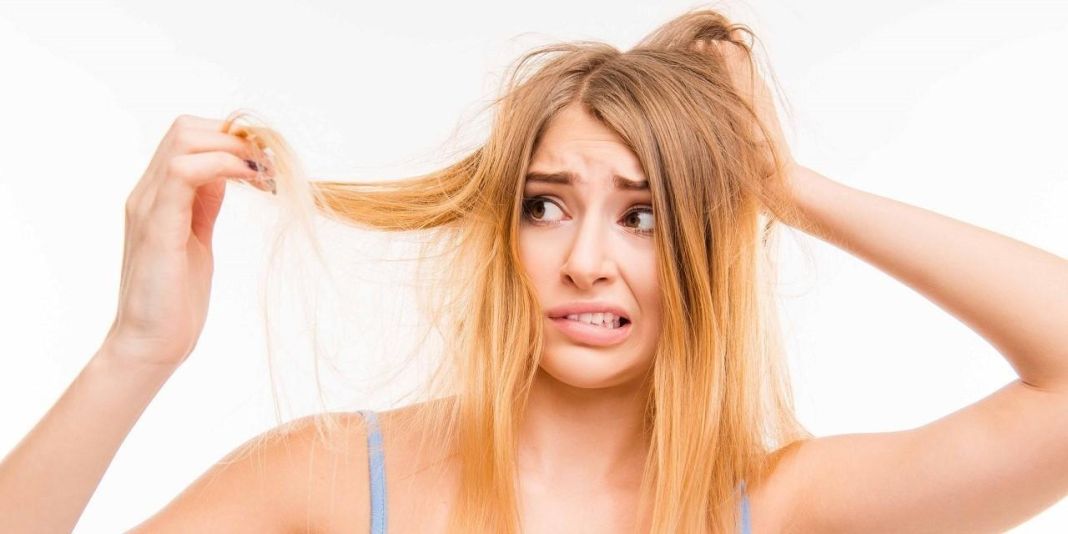 ¡Adiós frizz! Descubre trucos caseros para un cabello ultra suave y controlado 3 Vida.es LA CIENCIA NATURAL A TU FAVOR: INGREDIENTES INNOVADORES