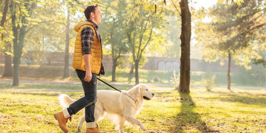 De travieso a tranquilo: Secretos para educar a tu perro y proteger tu casa de los Desastres 4 Vida.es ROL DEL AMBIENTE EN EL COMPORTAMIENTO