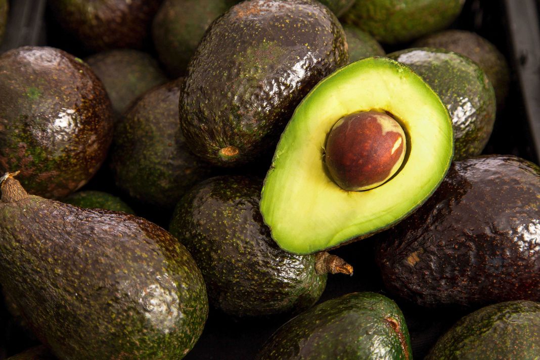 INTEGRANDO EL ACEITE DE AGUACATE EN TU DIETA