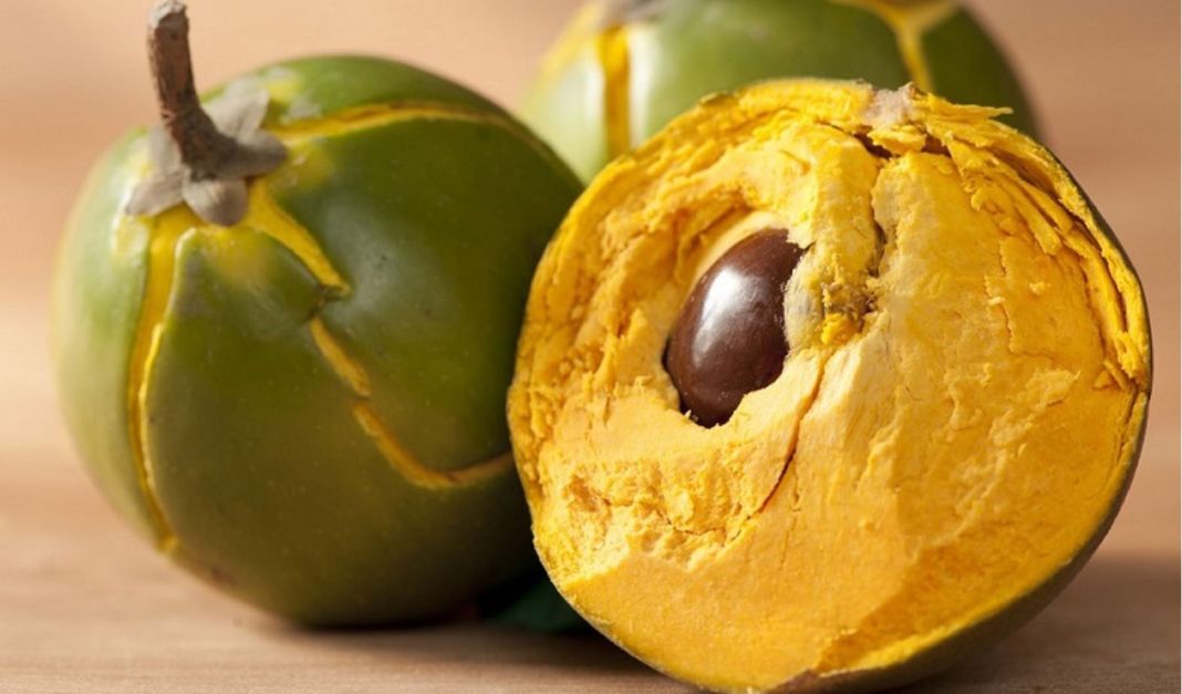 Olvídate del azúcar con este superalimento que endulza igual y ofrece muchos más beneficios 4 Vida.es BENEFICIOS PARA LA SALUD