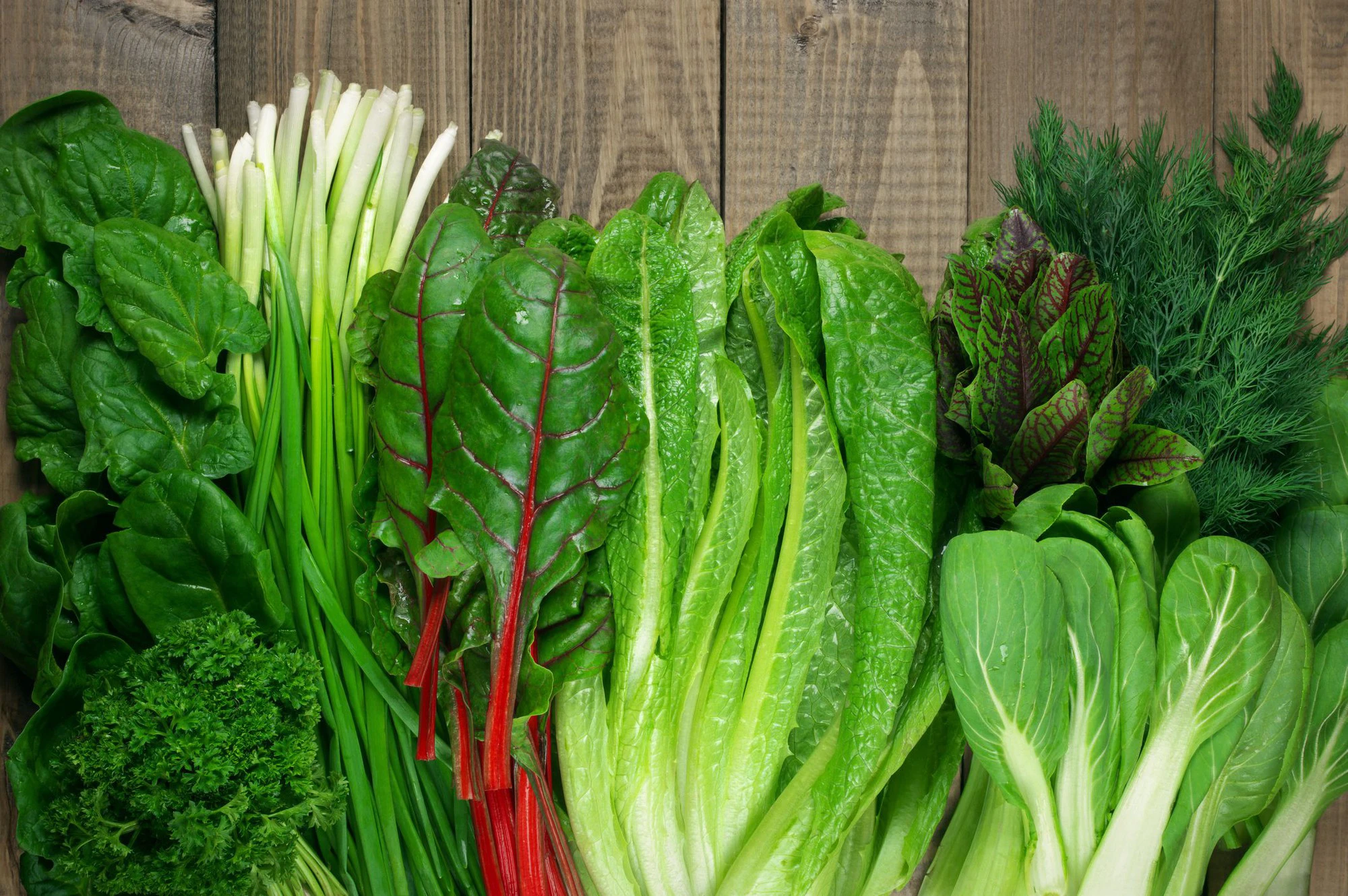 VERDURAS DE HOJA VERDE