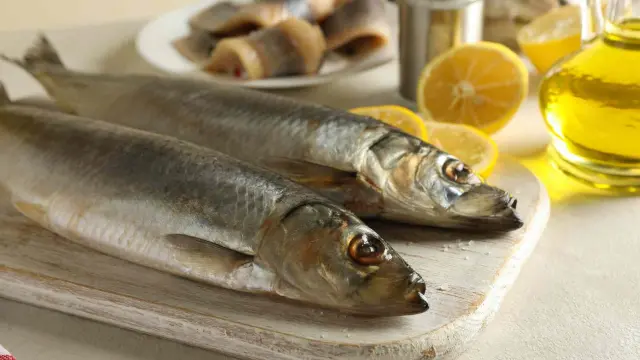 Variedades de anchoas disponibles en el mercado