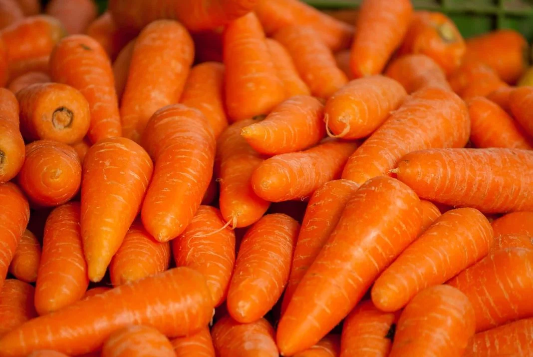 CÓMO CONSUMIR LA ZANAHORIA PARA MANEJAR LA GLUCOSA
