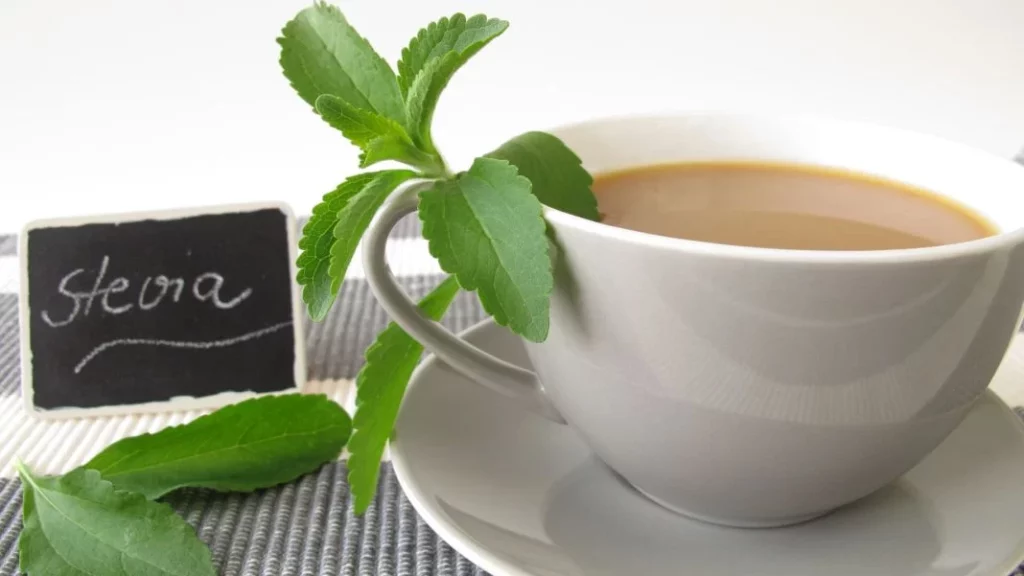 stevia Vida.es