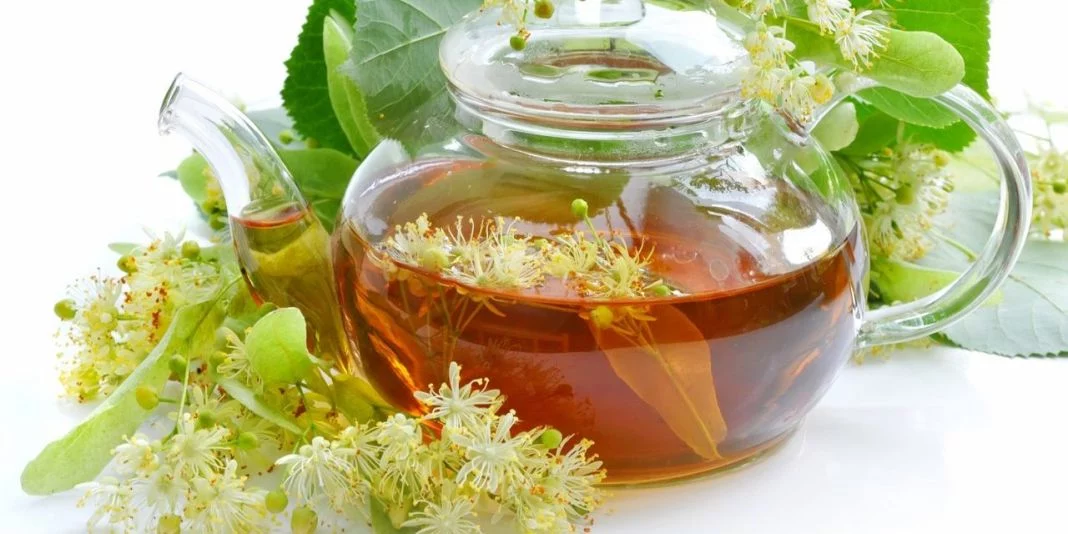 SUPLEMENTOS Y REMEDIOS NATURALES