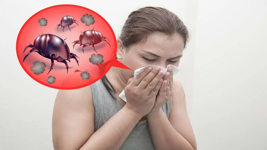 SÍNTOMAS Y EFECTOS SOBRE LA SALUD