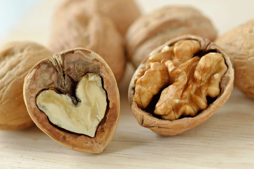 BENEFICIOS NUTRICIONALES