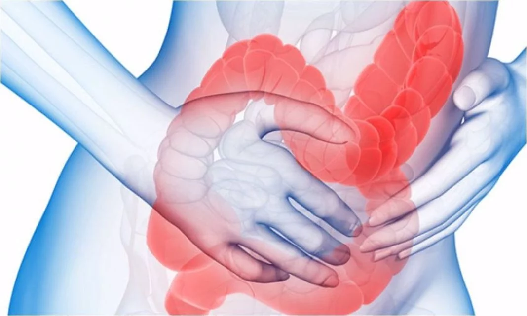 Las tres señales de cáncer que pueden manifestarse en la cena 3 Vida.es SEÑAL 3: CAMBIOS EN EL HÁBITO INTESTINAL Y SANGRE EN LAS HECES