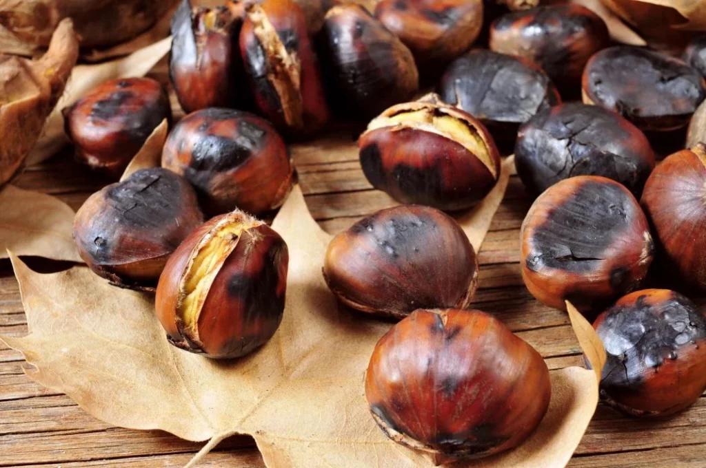 LOS BENEFICIOS NUTRICIONALES DEL CAFÉ DE CASTAÑAS