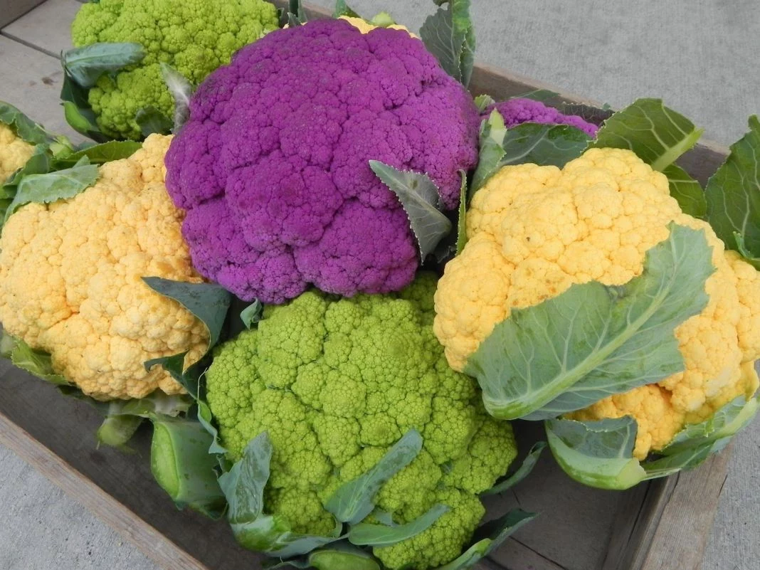 RECETAS SALUDABLES CON FRUTAS Y VERDURAS DE ENERO