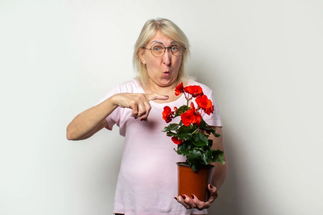 menopausia 3 Vida.es