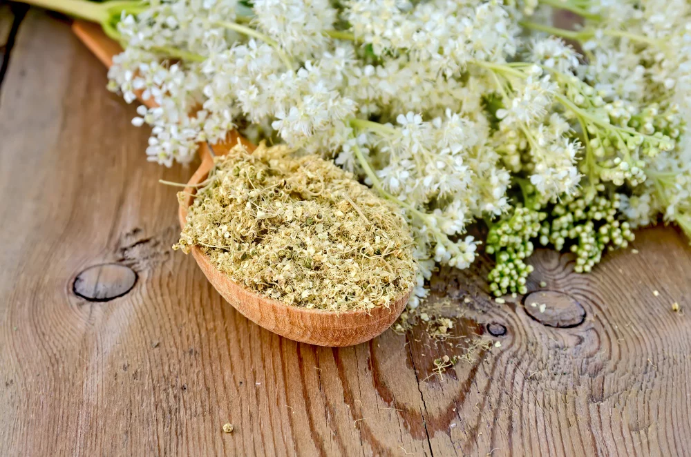 La infusión que arrasa por sus beneficios: adiós estreñimiento, toxinas y síntomas de gripe 4 Vida.es CÓMO PREPARAR UNA INFUSIÓN DE FLOR DE SAUCO PERFECTA