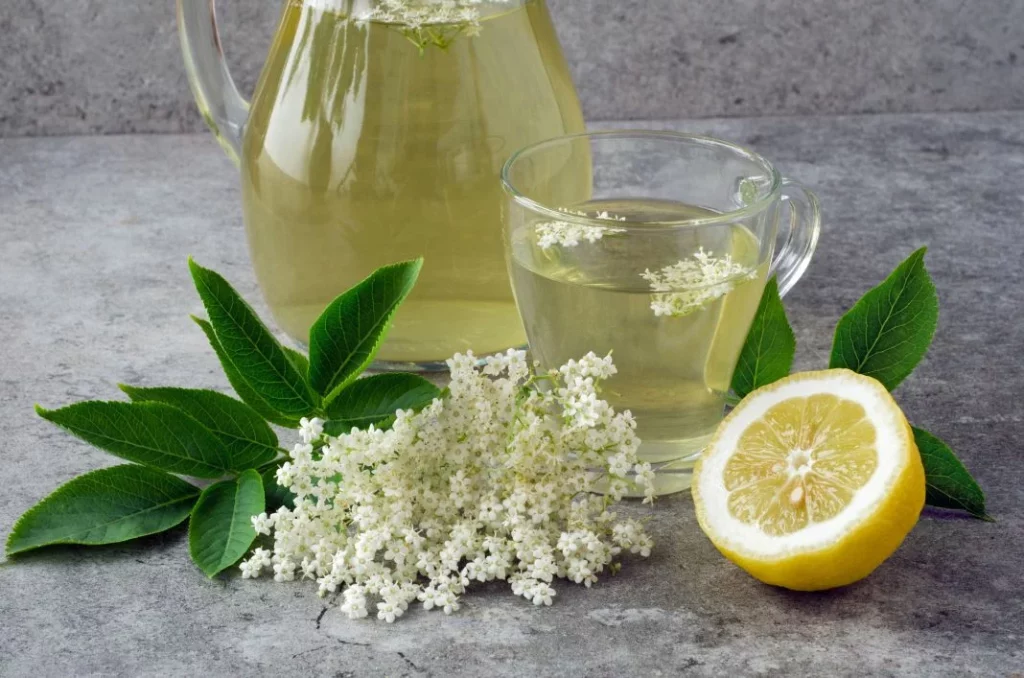 La infusión que arrasa por sus beneficios: adiós estreñimiento, toxinas y síntomas de gripe 6 Vida.es CONCLUSIÓN: UNA INFUSIÓN QUE MEJORA TU BIENESTAR