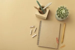 papeleria 2 Vida.es