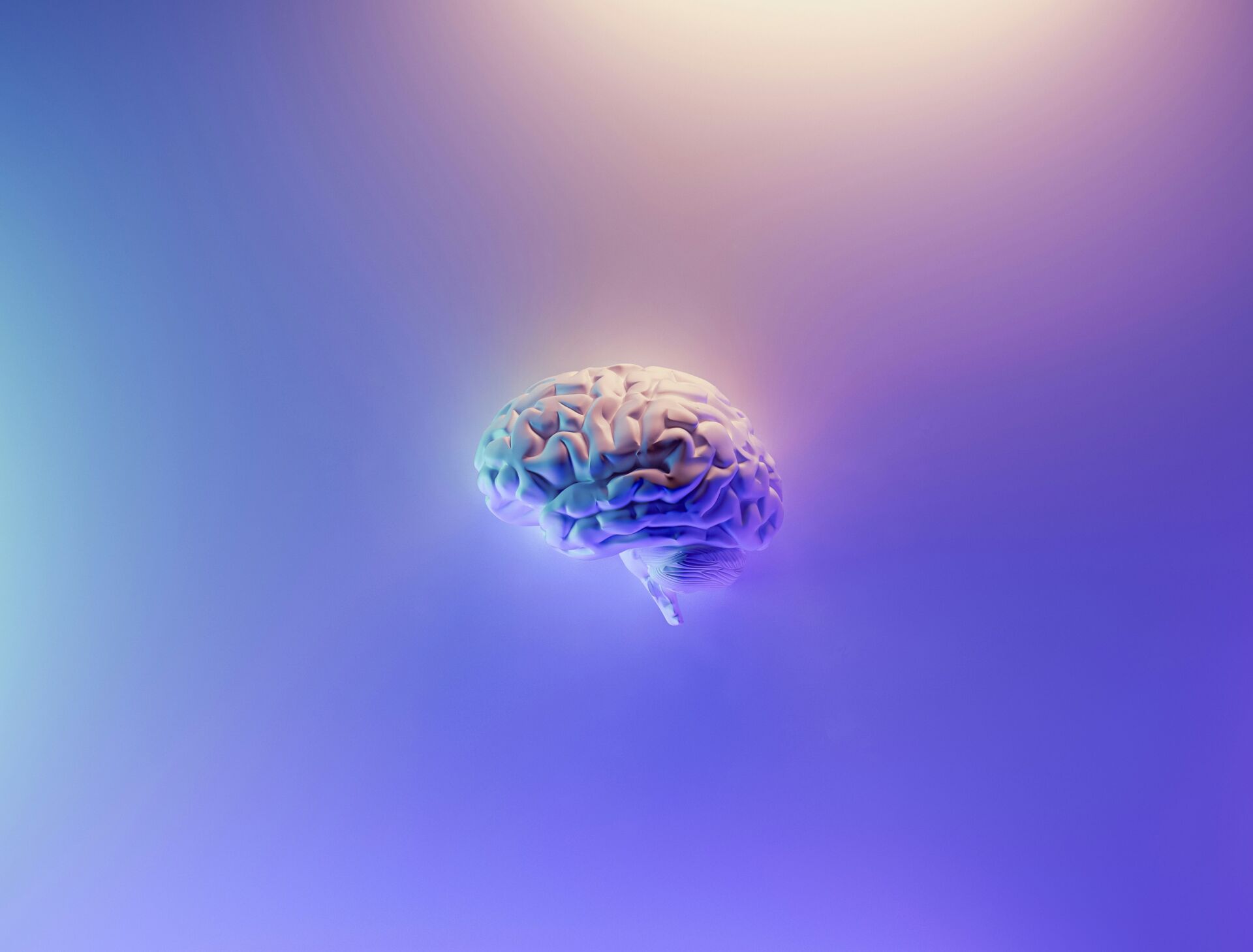 La creatina como posible complemento en la depresión: lo que dice la revisión científica 1 Vida.es suplemento salud mental