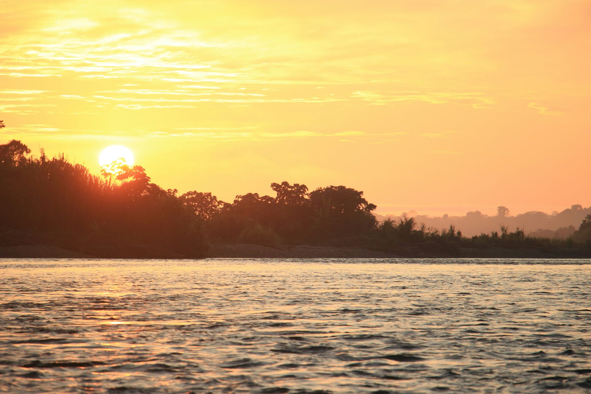 La deforestación en la Amazonía brasileña cae un 38% en 2026: la cifra más baja en una década 1 Vida.es menor deforestación en 10 años