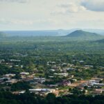 Café y deforestación en Vietnam: cómo la expansión del cultivo arrasó los bosques en 30 años