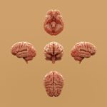 Cómo una rutina de hábitos saludables frena el envejecimiento cerebral antes de los 70