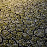 Muertes por calor España 2026: el cambio climático se cobra más de 6.000 vidas hasta julio, según la ciencia