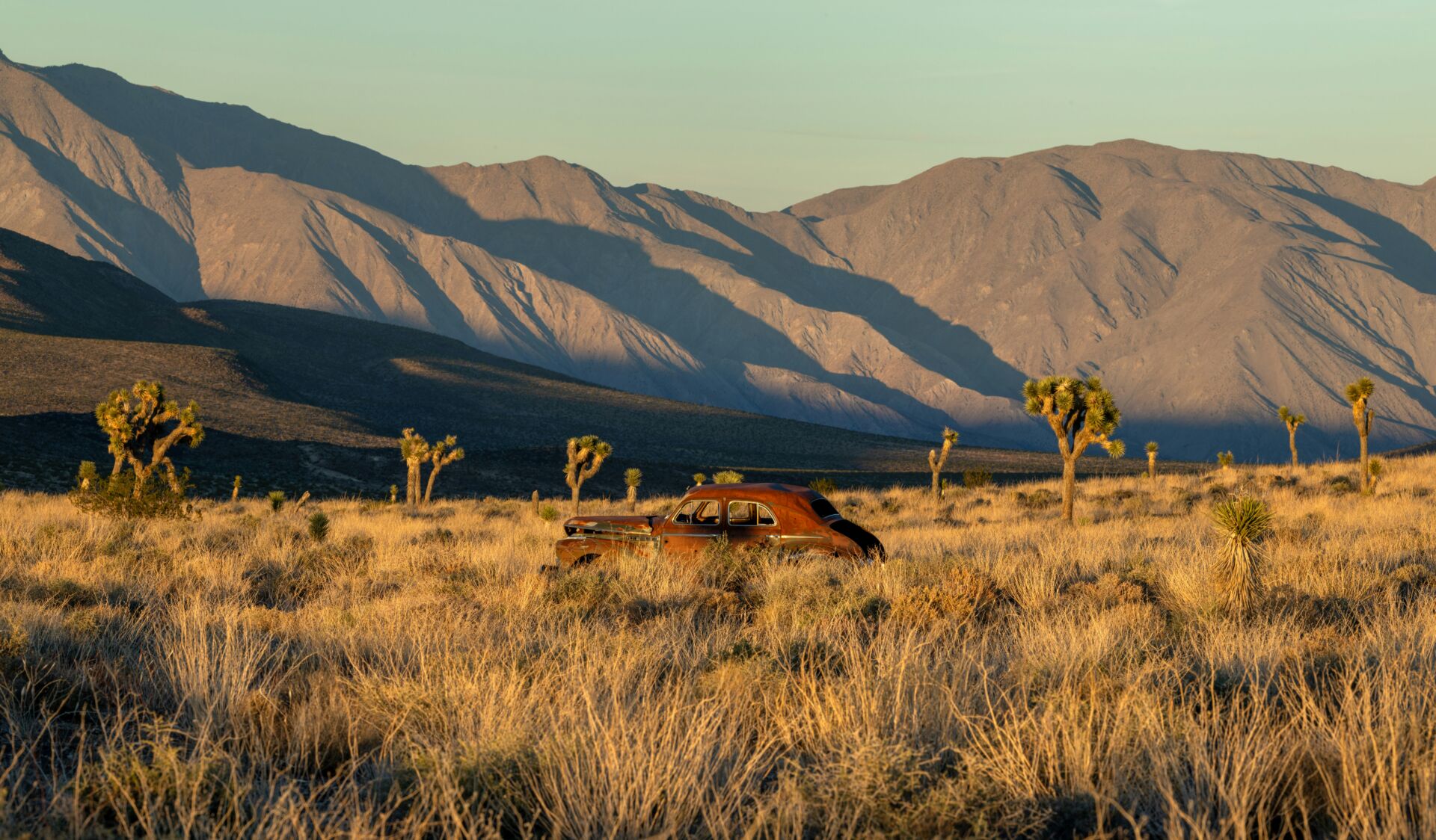 Mojave
