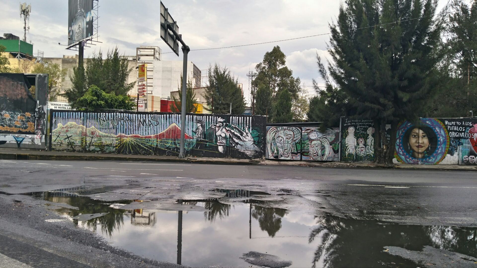 Recogida de agua de lluvia en Ciudad de México: cómo un sistema sencillo transforma hogares y huertos 1 Vida.es captación pluvial