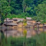 La deforestación en la Amazonía brasileña cae un 38% en 2026: la cifra más baja en una década