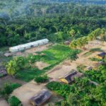 Cómo el recorte del 79% en ayuda del Reino Unido amenaza la protección de la selva del Congo