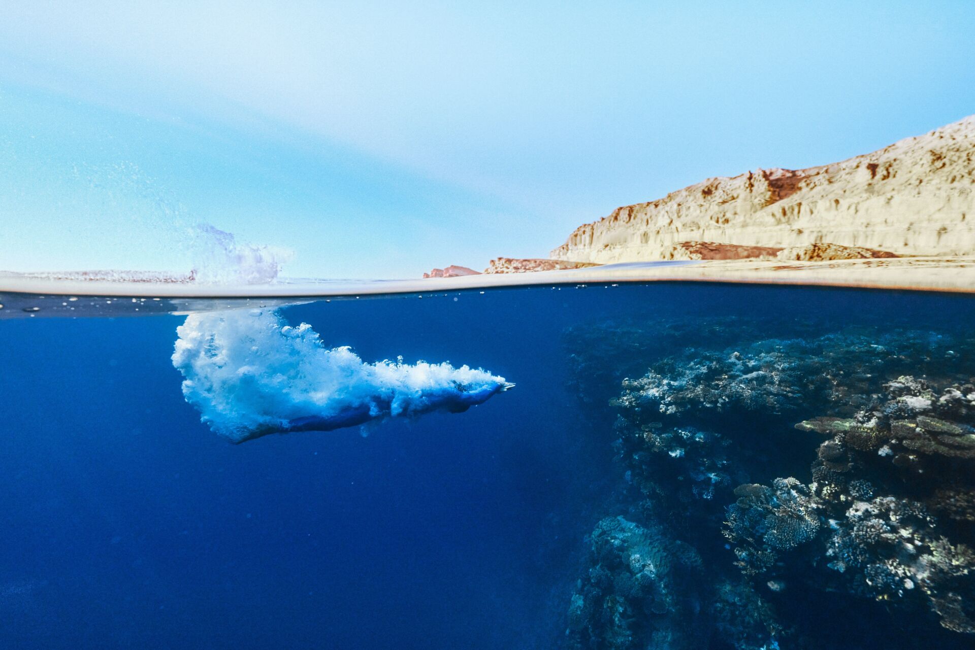 Por qué el océano Ártico será el último en superar la acidificación, incluso con emisiones negativas 1 Vida.es CO2 océano acidificación