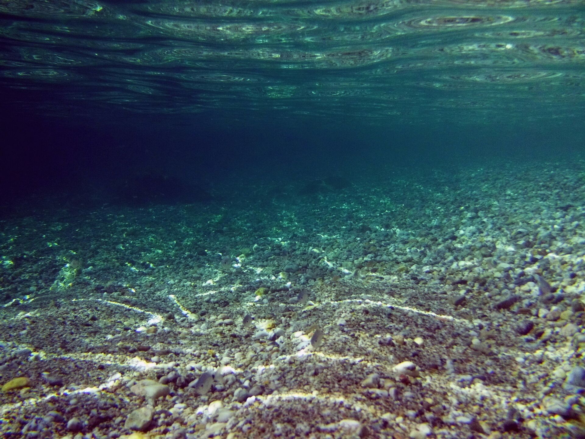 Calentamiento marino en España: la boya de Mallorca supera los 33 °C y el mar se calienta un 67% más rápido 1 Vida.es olas de calor marinas