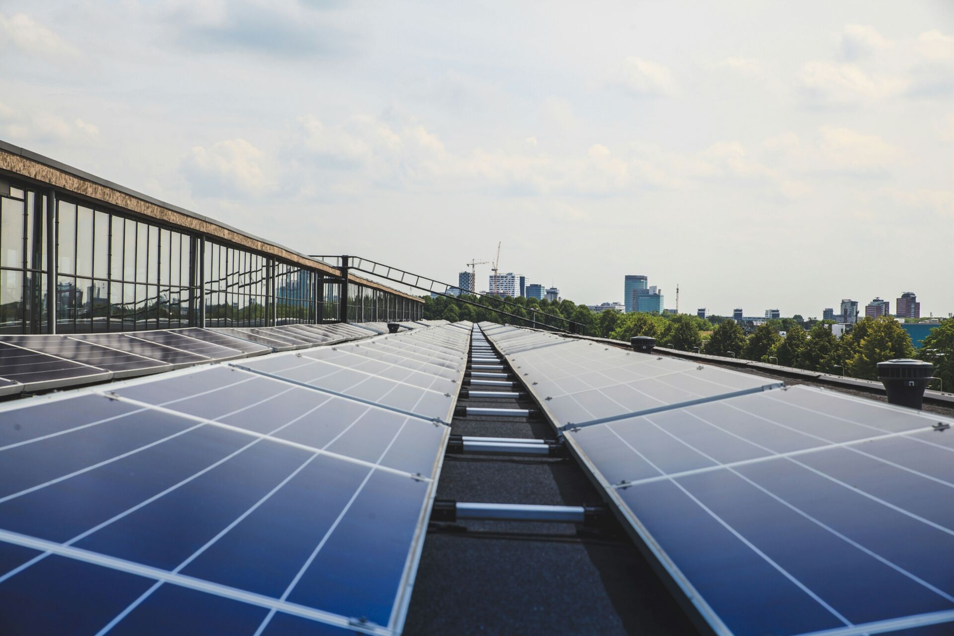 net zero ciudades