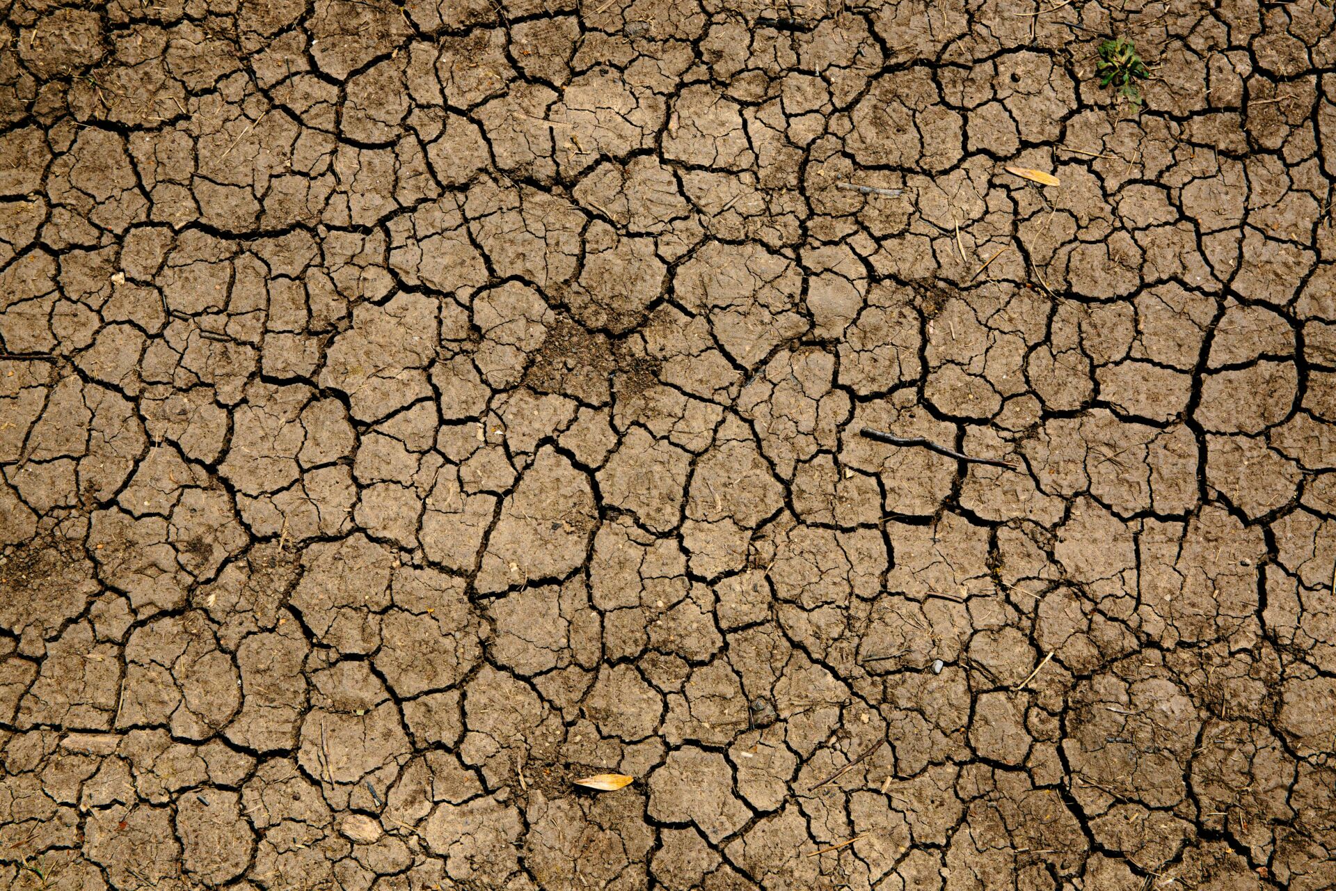 Desertificación COP17: 10.000 negociadores buscan frenar la sequía que azota el hemisferio norte 1 Vida.es sequía y desertificación