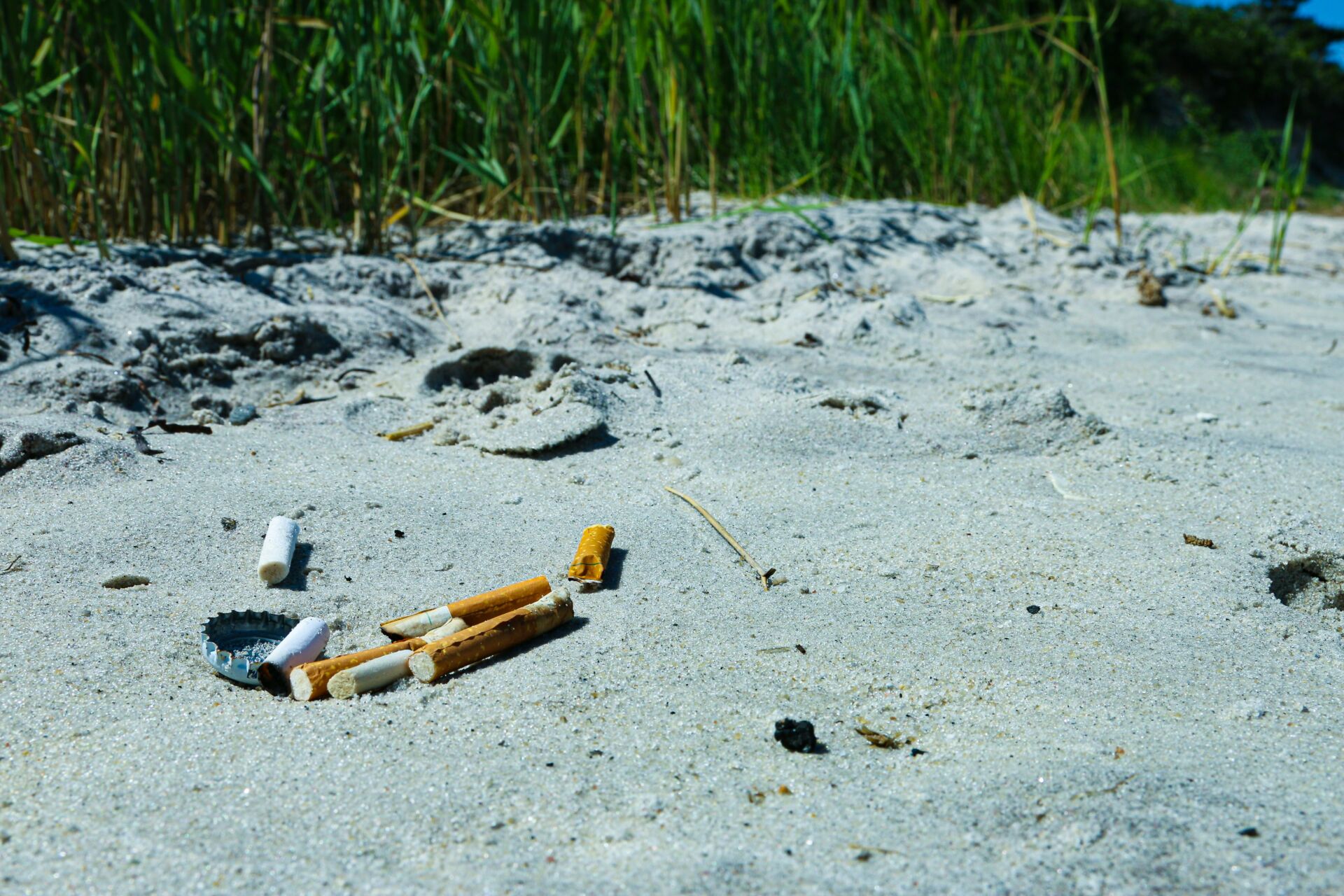 Colillas y contaminación: suponen el 12% de la basura acuática en ríos y playas, según 130 estudios 1 Vida.es colillas medio ambiente