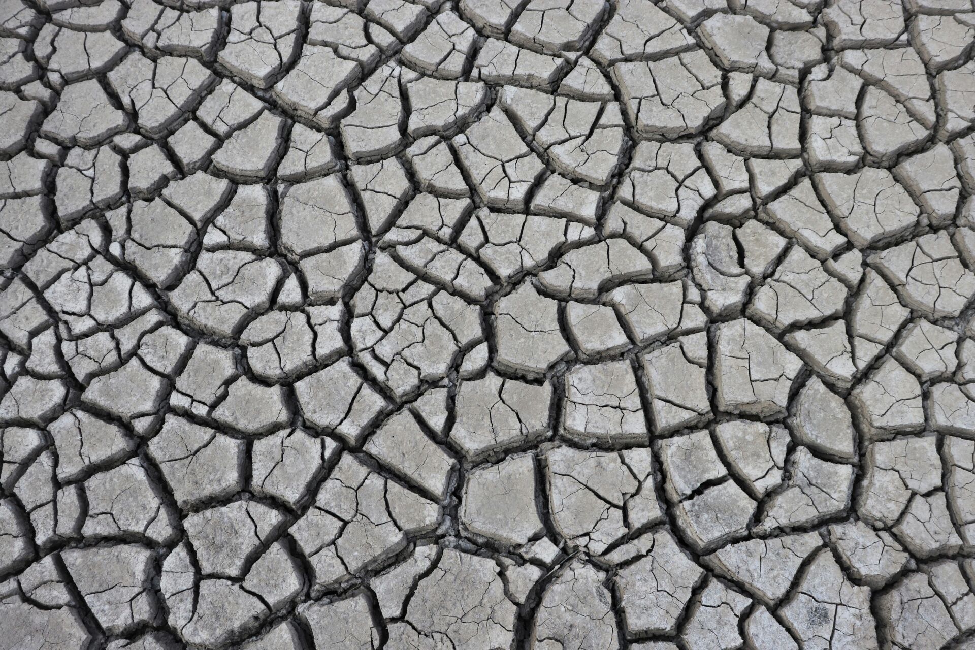 El coste económico del calor: por qué recorta tu productividad y encarece los alimentos, según Nature Climate Change 1 Vida.es coste social del carbono