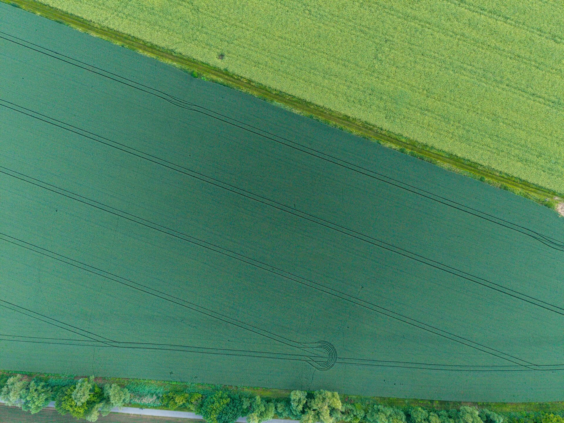 La UE estudia fumigar pesticidas con drones: los expertos advierten del riesgo para alimentos y medioambiente 1 Vida.es pesticidas agricultura UE