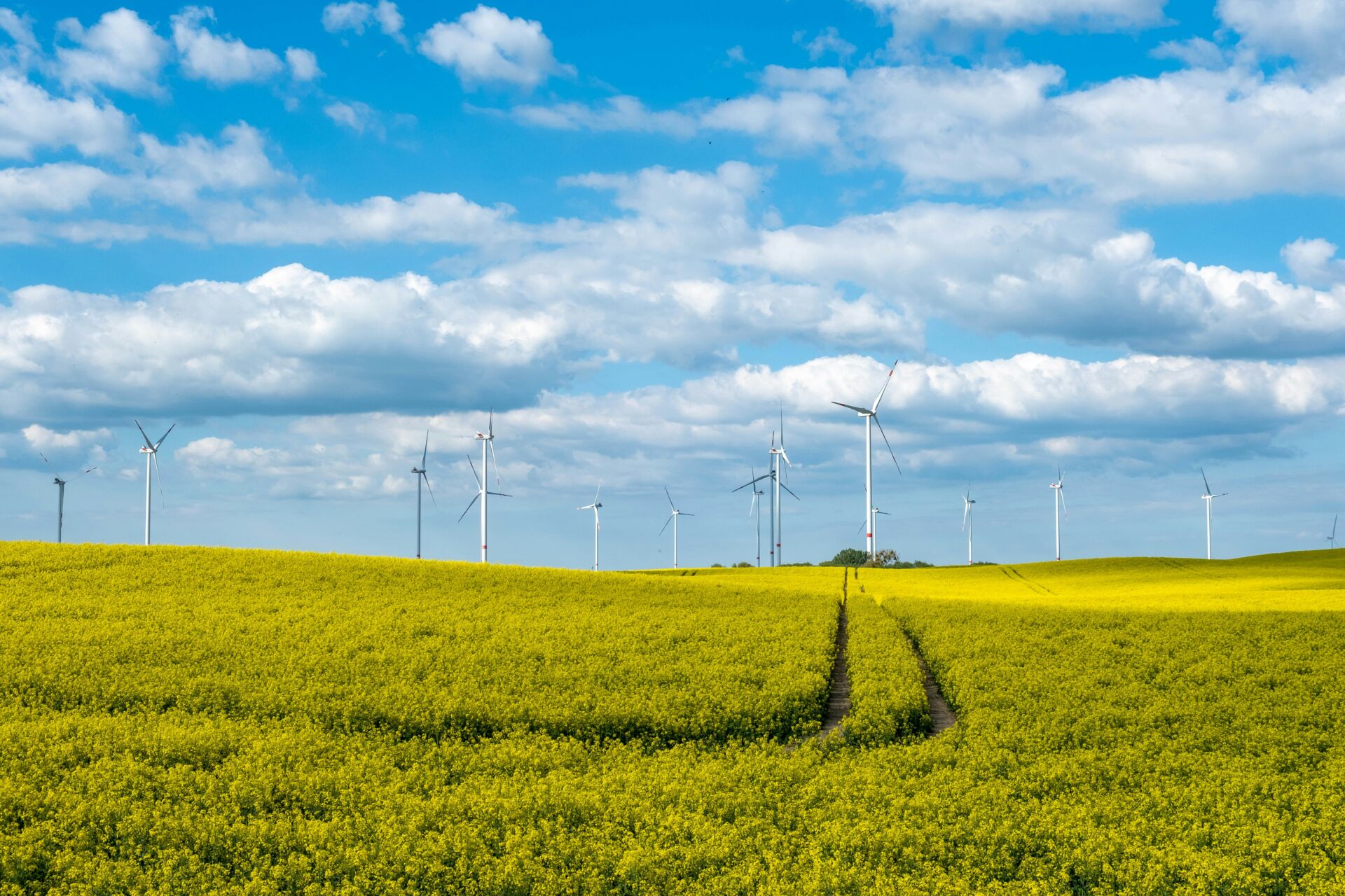 India mantiene planas las emisiones de su sector eléctrico dos años por el auge de la energía limpia 1 Vida.es transición energética India