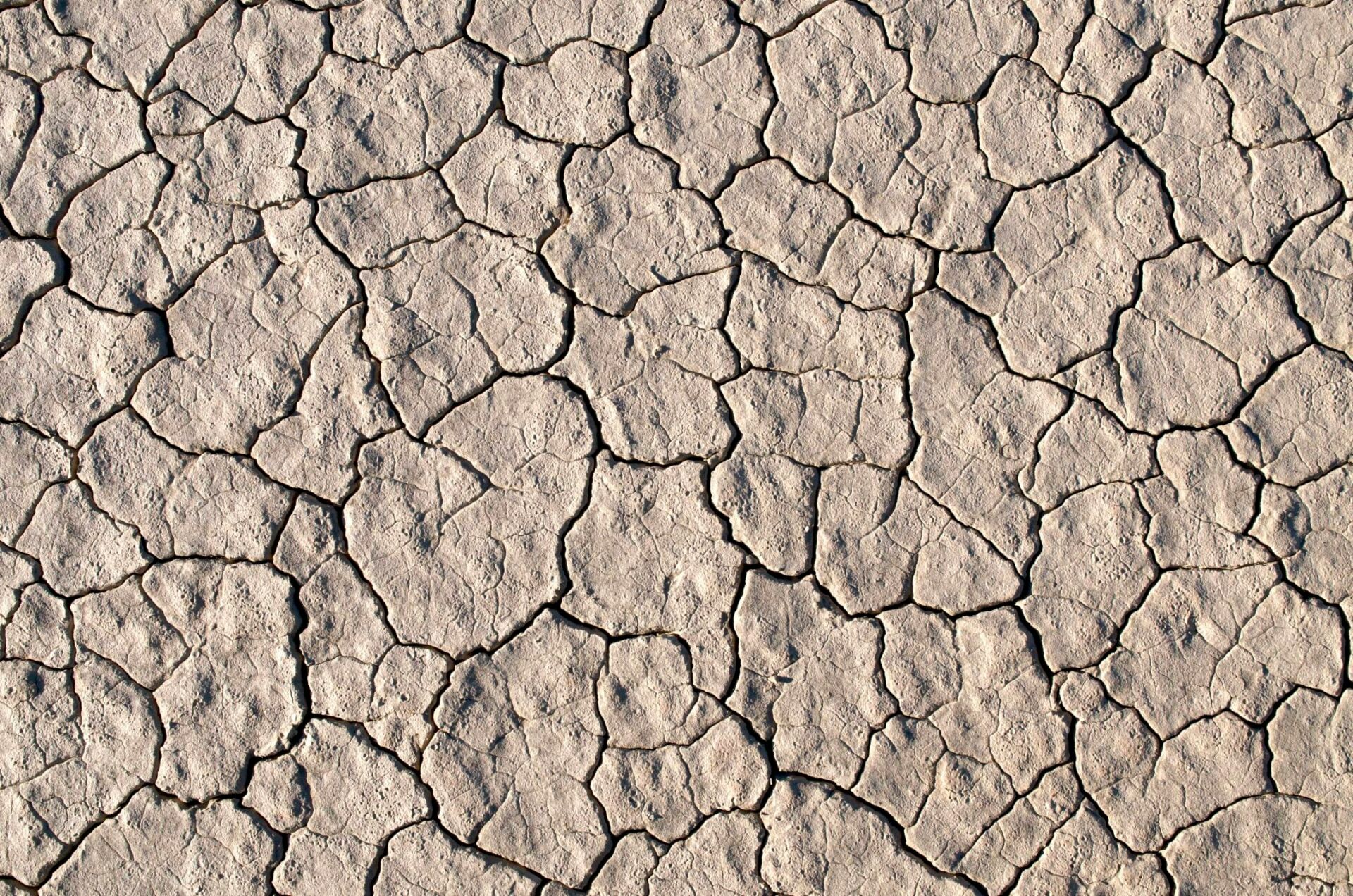 Estrés hídrico España: el WRI avisa de un agotamiento estructural de ríos y acuíferos 1 Vida.es escasez de agua España