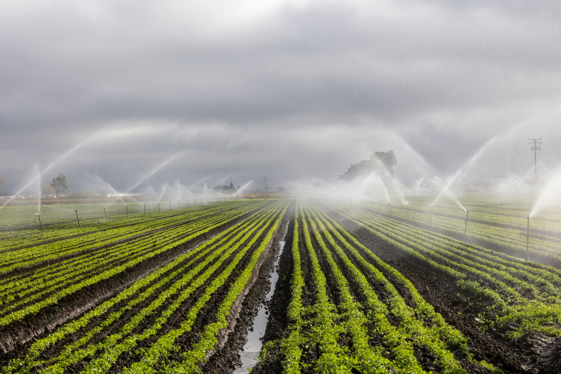 Sequía y agricultura en España: el sureste produce hasta el 25% de frutas y hortalizas de Europa y se queda sin agua 1 Vida.es sobreexplotación acuíferos