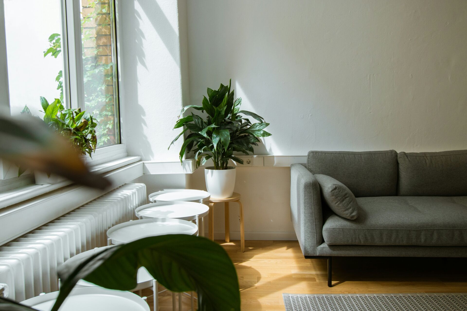 jardinería en casa
